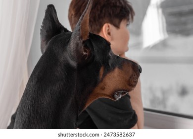 A woman in a black T-shirt with short brown hair stands by the window with her Doberman Pinscher. They gaze outside together as raindrops create a cozy indoor atmosphere. - Powered by Shutterstock