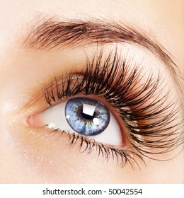 Woman Blue Eye With Extremely Long Eyelashes