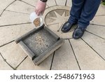 Woman in Blue Jacket Pouring Wild Bird Seed Food from Plastic Jug onto Wooden Bird Table on Ground in Outdoor Backyard Garden