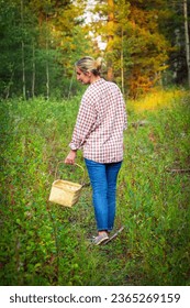 A woman in blue jeans and plaid shirt with a wicker basket is walking in the forest trail among trees and bushes and looking for mushrooms. - Shutterstock ID 2365269159