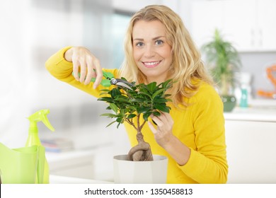 Woman With Bonsai