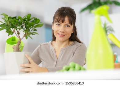 a woman with a bonsai - Powered by Shutterstock