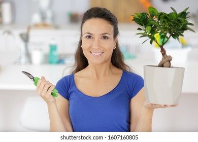 a woman with bonsai tree - Powered by Shutterstock