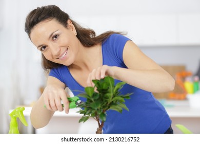 A Woman With Bonsai Tree