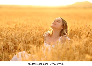 Woman breathing fresh air sitting in a golden wheat field