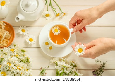 A Woman Brews Herbal Tea With Chamomile.