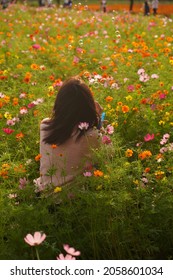 Woman Brow Soap Bubbles At Cosmos Field