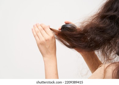 Woman Brush Her Dry And Frizzy Natural Curly Hair That Needs Hydration. Natural Curls Before Salon Treatment. Close Up.