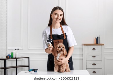 Mujer cepillando lindo perro de Maltipoo en la habitación