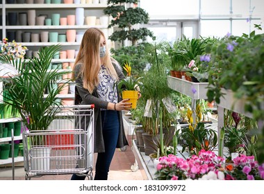 Woman Buying Flowers Shopping Cart Garden Center. High quality photo - Powered by Shutterstock