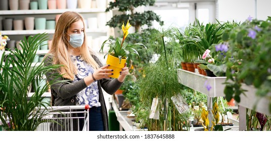 Woman Buying Flowers Shopping Cart Garden Center. USA. High quality photo - Powered by Shutterstock