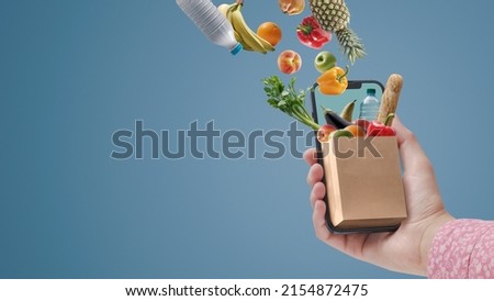 Woman buying groceries online using her smartphone: full grocery bag miniature on a smartphone screen