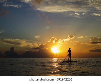 Woman In The Caribbean Sea Paddleboarding, Playa Del Carmen, Mexico