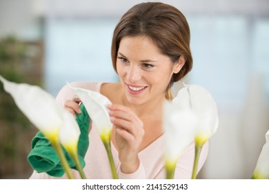 Woman Caring For Arum Lilies In Her Home