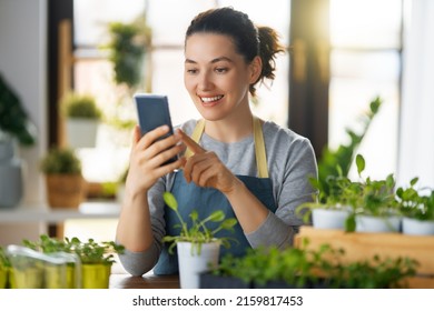 Woman Caring For Plants At Home In Spring Day.