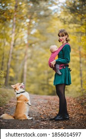 A Woman Carrying  A Baby In A Baby Carrier,, Mother Looking With Love, With A Welsh Corgi Pembroke Dog