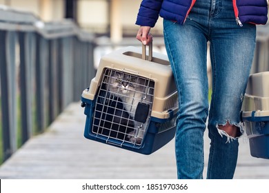 Woman Carrying Her Cat's In A Special Plastic Cage Or Pet Travel Carrier. Moving A Cat To A New House