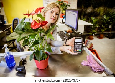 Woman Cashier Sitting At Cash Register, Using NFC Device For Transaction, Selling Pot Flowers In The Flower Shop