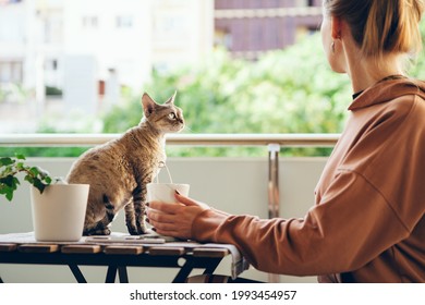 Woman In Casual Clothes Is Resting On The Balcony Drinking Tea And Petting Her Cute Devon Rex Cat. Selective Focus 