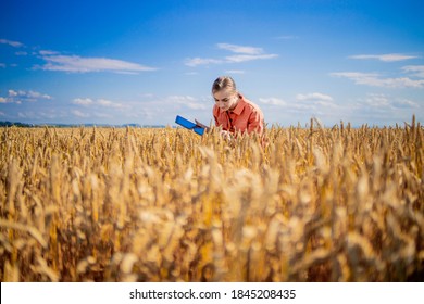 Woman caucasian technologist agronomist with tablet computer in the field of wheat checking quality and growth of crops for agriculture. Agriculture and harvesting concept