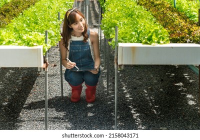 Woman Check The Vegetable Growing Water System And Take Note Of The Vegetable Growing Research Results At Hdroponic Fram At Home,small Business.