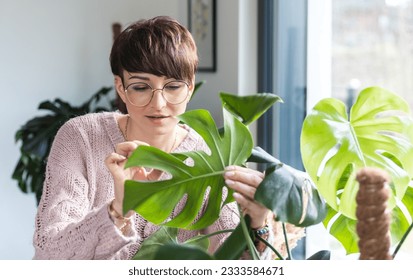 Woman checking houseplants taking care home jungle