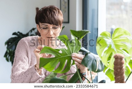Woman checking houseplants taking care home jungle