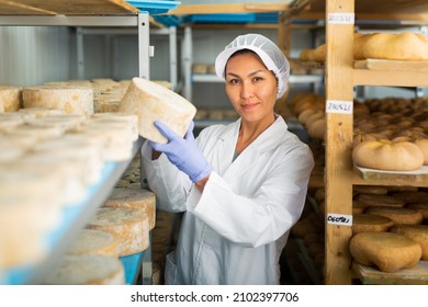 Woman checking quality of cheese in cheese dairy. Numbers on white pieces of paper are date when cheese was put into the ripening chamber - Shutterstock ID 2102397706