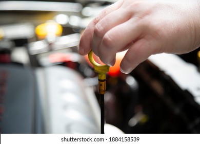 Woman Checking The Transmission Fluid In An Automobile