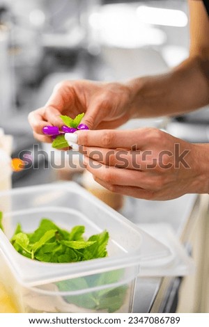 woman chef hands hold green mint leavs on kitchen