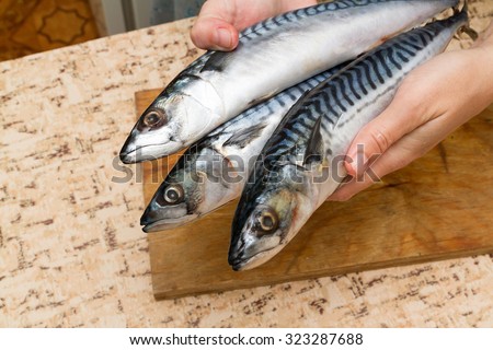 A woman chef slices a fish mackrel on a wooden Board on the kitchen table Stock photo © 