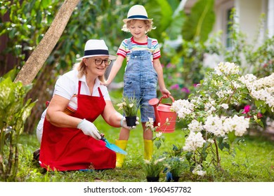 Woman And Child Gardening. Grandmother And Little Boy In Sun Hat Watering Garden Plants And Flowers. Kids Work In Beautiful Sunny Blooming Backyard. Family Outdoor Hobby And Healthy Activity. 