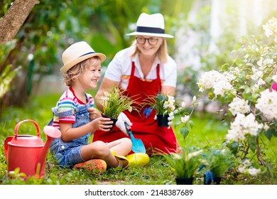 Woman And Child Gardening. Grandmother And Little Boy In Sun Hat Watering Garden Plants And Flowers. Kids Work In Beautiful Sunny Blooming Backyard. Family Outdoor Hobby And Healthy Activity. 