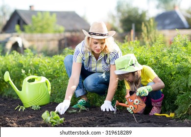 Woman And Child Girl, Mother And Daughter, Gardening Together Planting Strawberry Plants In The Garden