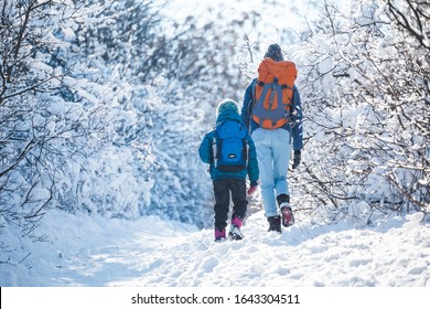 Woman with a child on a winter hike in the mountains. The boy travels with mother in the cold season. A child with a backpack walks with mother in a snowy park. Trekking with children. Winter trip. - Powered by Shutterstock