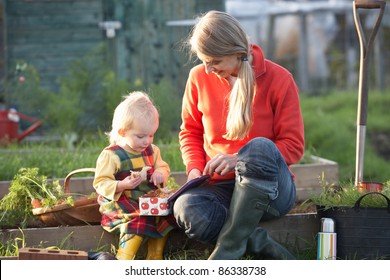 Woman And Child With Picnic On Allotment