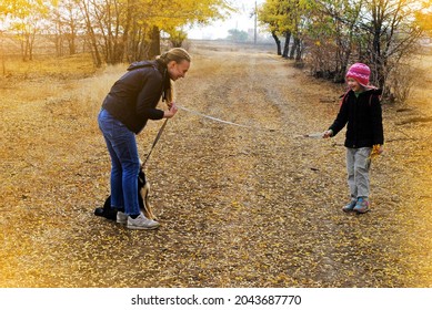 A Woman With A Child Walk The Dog In The Autumn Park.German Shepherd Puppy. Beautiful Autumn Landscape.Daredevil Walk.