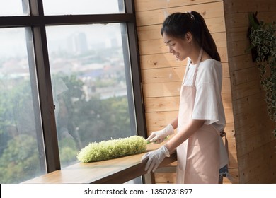 Woman Cleaner Cleaning Living Room In Apartment. Portrait Of Asian Woman Cleaning Staff Doing Housekeeping Or Domestic Helper Job. Young Adult Asian Woman Model