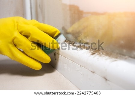 Woman is cleaning A lot of Black mold fungus growing on the windowsill at home. Dampness problem concept. Condensation on the window.