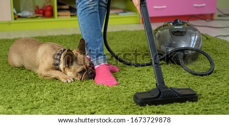Woman cleaning carpet in the children room. carpet cleaning from pet wool