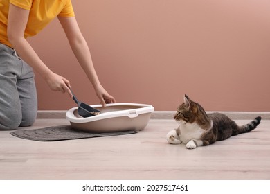 Woman cleaning cat litter tray at home, closeup