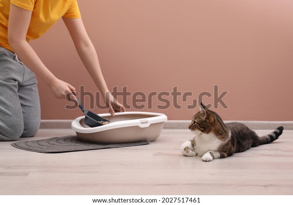 Woman cleaning\
cat litter tray at home,\
closeup