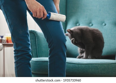 Woman Cleaning Clothes With Sticky Roller From Cats Hair, Cleaning Hair From Pets