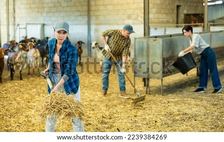 Woman cleaning in a goat pen at a livestock farm