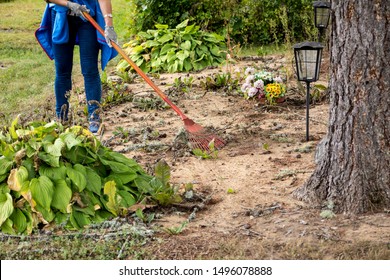 Woman cleaning loved ones grave plot with rake, plot maintenance services in a cemetery concept. - Shutterstock ID 1496078888