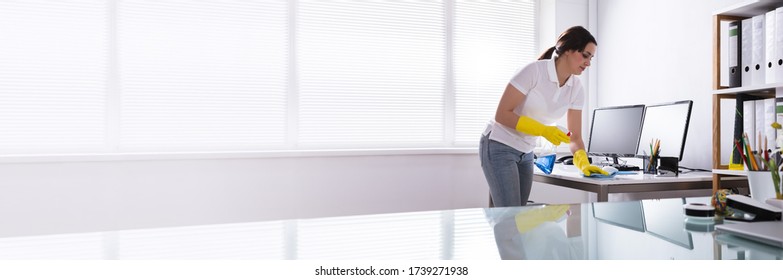 Woman Cleaning Office Gadgets. Clean And Tidy Computer