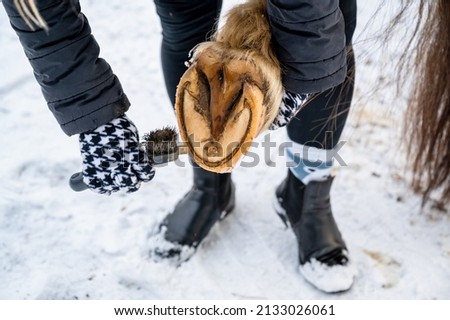 Woman cleans brush horse hoof on snow.
