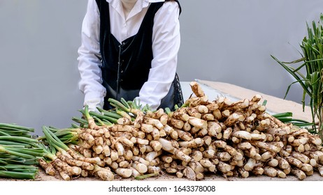 Woman Cleans And Prepares Spring Onion For Cooking On Grill. Traditional Holiday Of Spring Onion In Spain. 