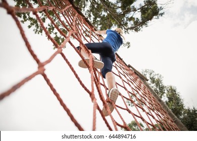 Woman climbing a net during obstacle course in boot camp - Powered by Shutterstock