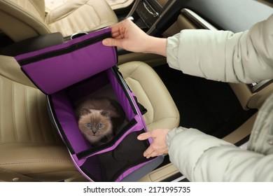 Woman Closing Pet Carrier With Cat In Car, Closeup